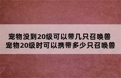 宠物没到20级可以带几只召唤兽 宠物20级时可以携带多少只召唤兽